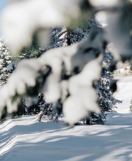 idm-suedtirol-alto-adige-by-benjamin-pfitscher-154